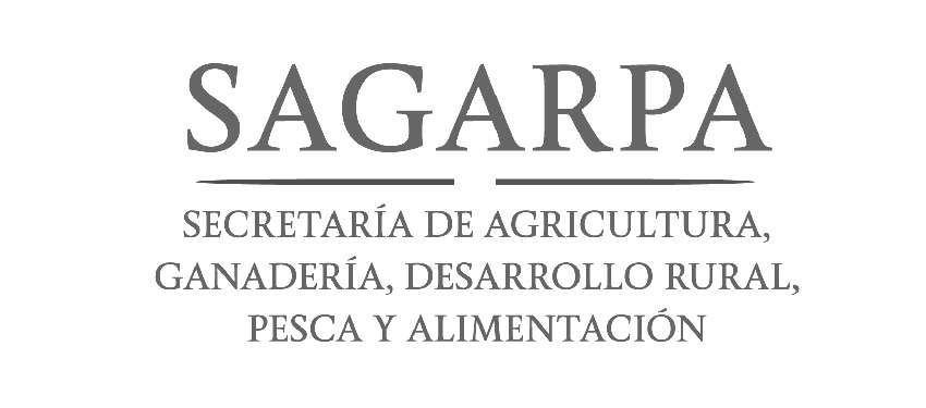 logotipos clientes-06